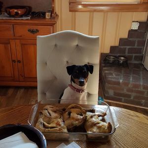 Meet your Posher, Deb